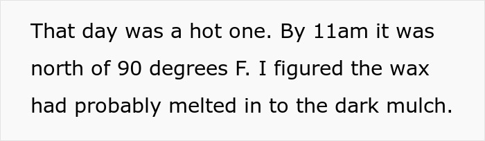 Text about hot weather melting wax squares in mulch, contributing to neighbor's rose garden ruin by beetles.