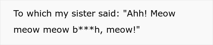Text snippet revealing the sister's continued 'Meow' comeback, ending the confrontation. Text snippet revealing the sister's continued 'Meow' comeback, ending the confrontation.
