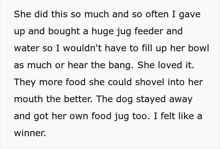 Woman Thinks Her Blind Cat Is Being Annoying, Realizes She Was Trying To Signal A Serious Problem Woman Thinks Her Blind Cat Is Being Annoying, Realizes She Was Trying To Signal A Serious Problem