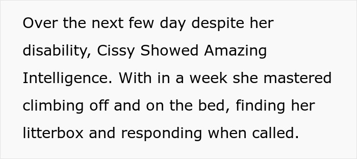 Woman Thinks Her Blind Cat Is Being Annoying, Realizes She Was Trying To Signal A Serious Problem Woman Thinks Her Blind Cat Is Being Annoying, Realizes She Was Trying To Signal A Serious Problem