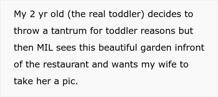 Text describing a 2-year-old's tantrum and an attention-seeker mom wanting photos at a restaurant during Mother's Day. Text describing a 2-year-old's tantrum and an attention-seeker mom wanting photos at a restaurant during Mother's Day.