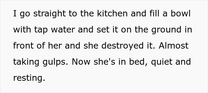Woman Thinks Her Blind Cat Is Being Annoying, Realizes She Was Trying To Signal A Serious Problem Woman Thinks Her Blind Cat Is Being Annoying, Realizes She Was Trying To Signal A Serious Problem