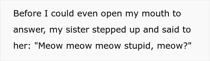 Text snippet with sister's absurd 'Meow' comeback to a mother-in-law's public confrontation. Text snippet with sister's absurd 'Meow' comeback to a mother-in-law's public confrontation.