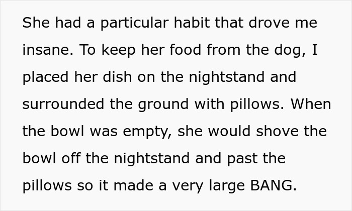 Woman Thinks Her Blind Cat Is Being Annoying, Realizes She Was Trying To Signal A Serious Problem Woman Thinks Her Blind Cat Is Being Annoying, Realizes She Was Trying To Signal A Serious Problem