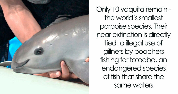 20 Harsh Pics From The Group That Is About “All Things That Are Just Awful” (New Pics)
