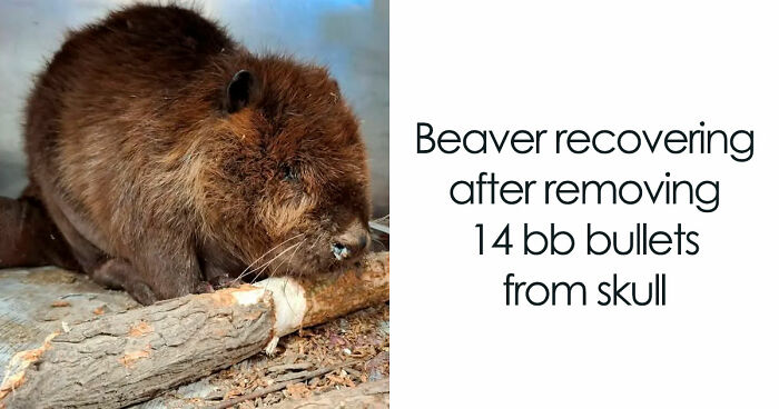20 Harsh Pics From The Group That Is About “All Things That Are Just Awful” (New Pics)