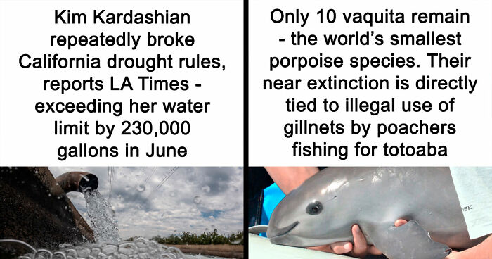 20 Harsh Pics From The Group That Is About “All Things That Are Just Awful” (New Pics)