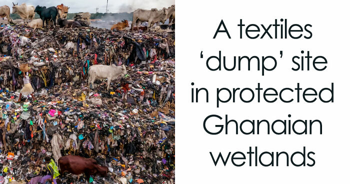20 Harsh Pics From The Group That Is About “All Things That Are Just Awful” (New Pics)
