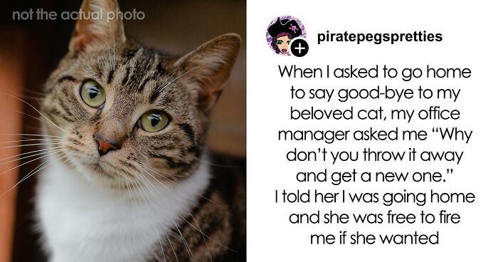 “Miscarriage Is Not An Excuse”: 67 Of The Worst Things Someone’s Boss Ever Said To Them