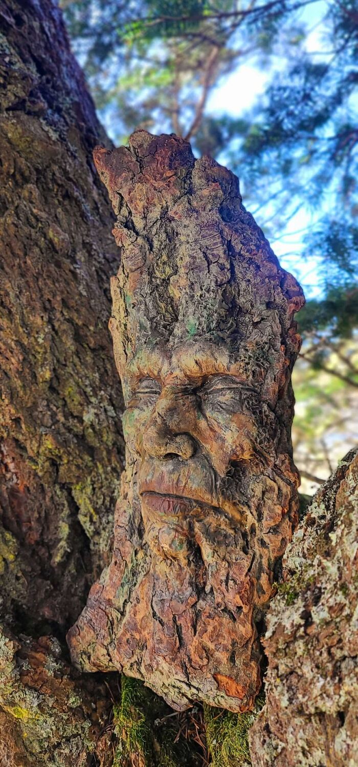This Artist Creates Driftwood Art That Looks Like Nature Came To Life (28 New Pics)