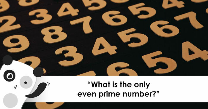 Only Math-Savvy Adults Can Pass This Basic 20-Question Quiz – Challenge Yourself