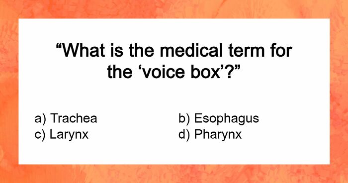 “How Does The Body Work?”: Score 23/27 To Prove Yourself In This Basic Medical Knowledge Quiz