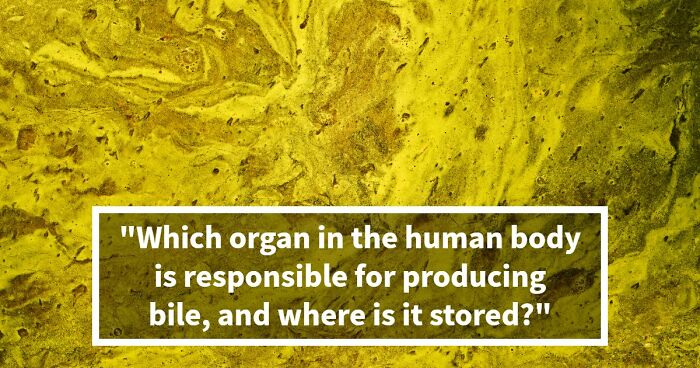 “How Does The Body Work?”: Score 23/27 To Prove Yourself In This Basic Medical Knowledge Quiz