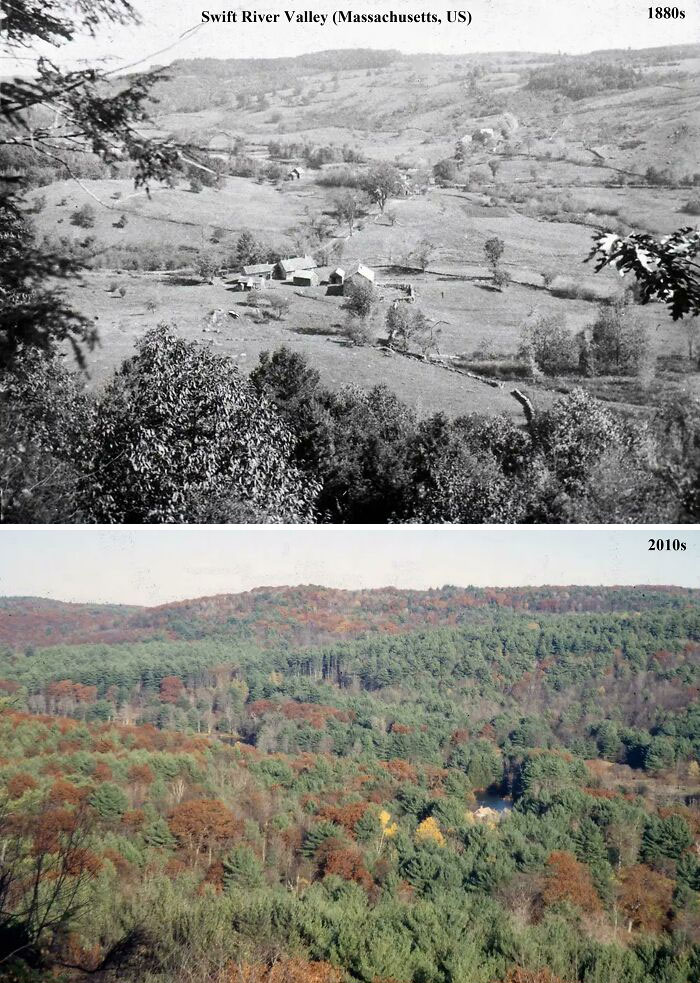 America before-and-after photos capture the Swift River Valley changing from sparse farmland in the 1880s to dense forest in the 2010s.