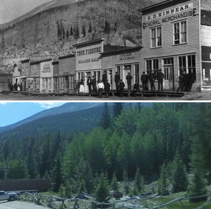 America's transformation: a vibrant 1800s town with businesses evolves into a lush forest with parked cars.