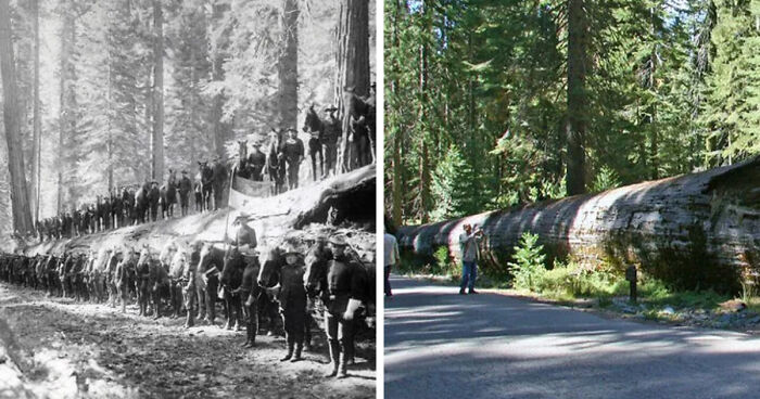 91 Before-And-After Photos That Show How Much America Has Changed