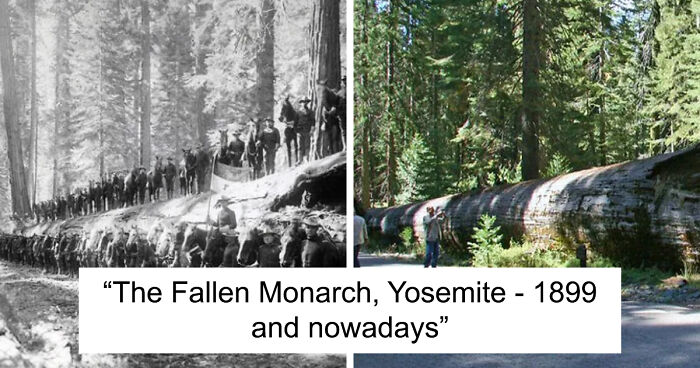91 Before-And-After Photos That Show How Much America Has Changed