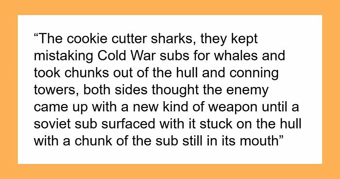 30 Mind-Boggling Unsolved Mysteries That Puzzled People For Years Until They Were Solved