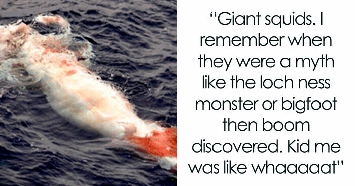 30 Strange Cases That Had Everyone Guessing Wrong Until The Truth Finally Clicked