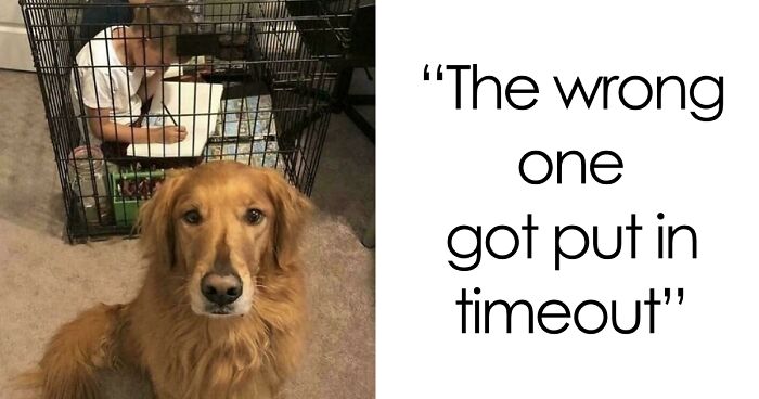 67 Hilarious Images That Are Somehow Both Blessed And Cursed