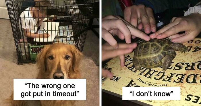 67 Hilarious Images That Are Somehow Both Blessed And Cursed