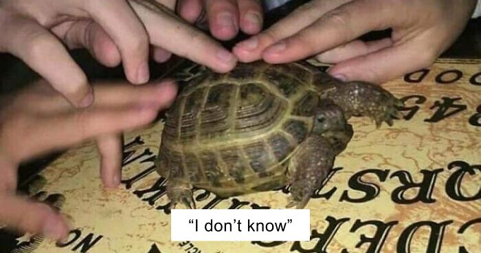 67 Hilarious Images That Are Somehow Both Blessed And Cursed