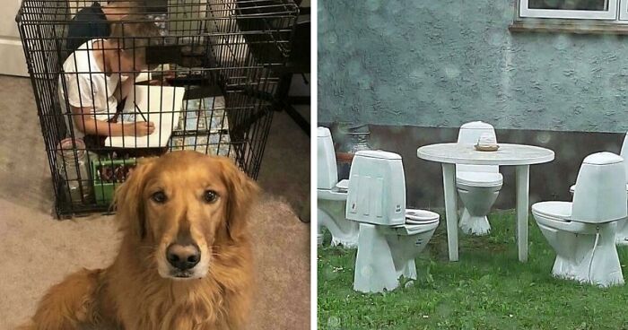 67 Hilarious Images That Are Somehow Both Blessed And Cursed