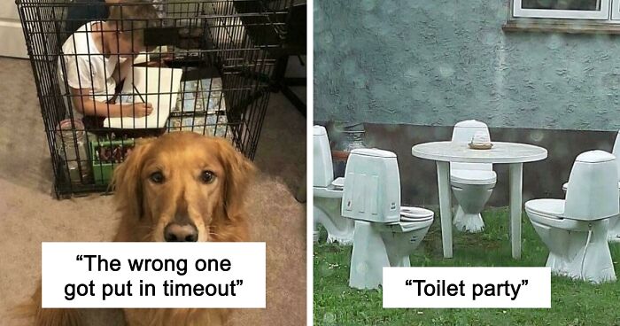 67 Hilarious Images That Are Somehow Both Blessed And Cursed