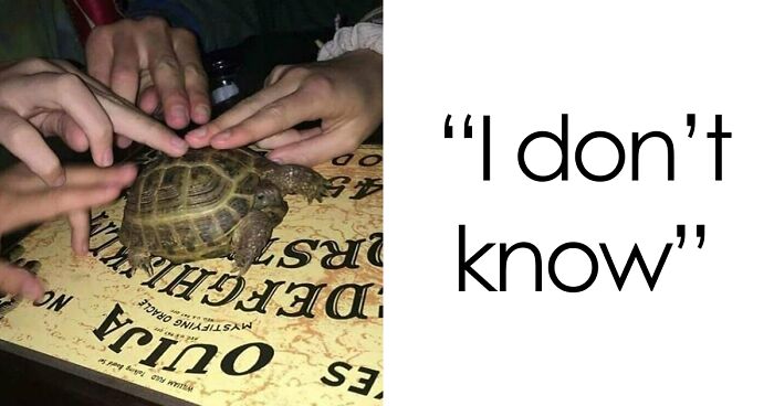 67 Hilarious Images That Are Somehow Both Blessed And Cursed