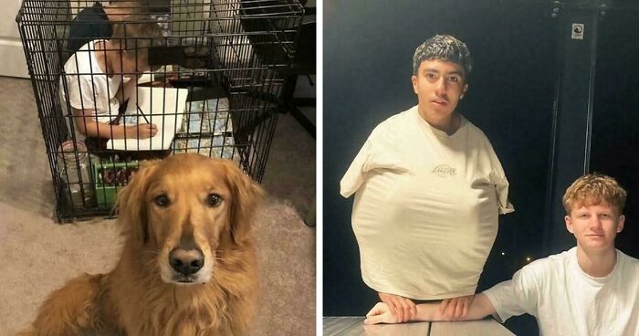 67 Hilarious Images That Are Somehow Both Blessed And Cursed