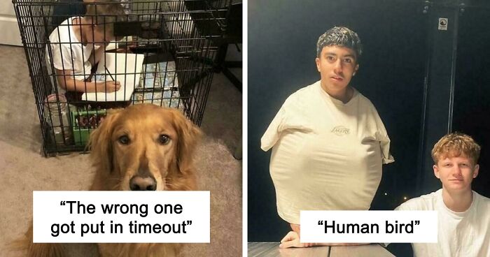 67 Hilarious Images That Are Somehow Both Blessed And Cursed