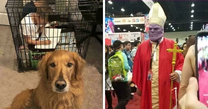 67 Hilarious Images That Are Somehow Both Blessed And Cursed