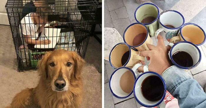 67 Hilarious Images That Are Somehow Both Blessed And Cursed