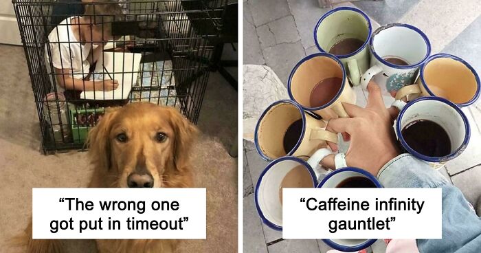 67 Hilarious Images That Are Somehow Both Blessed And Cursed