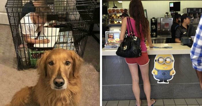 67 Hilarious Images That Are Somehow Both Blessed And Cursed