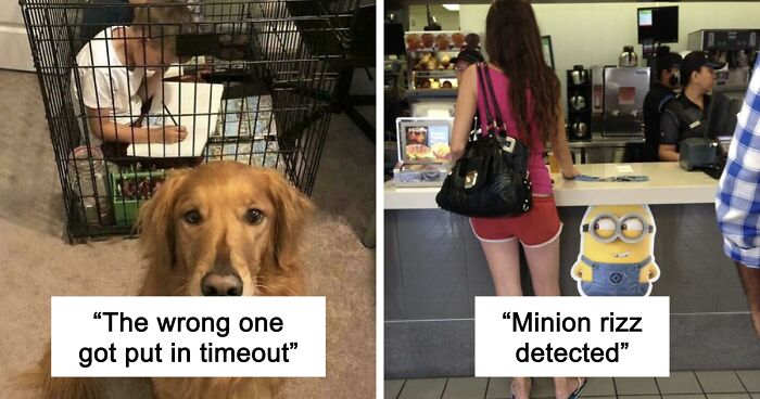 67 Hilarious Images That Are Somehow Both Blessed And Cursed