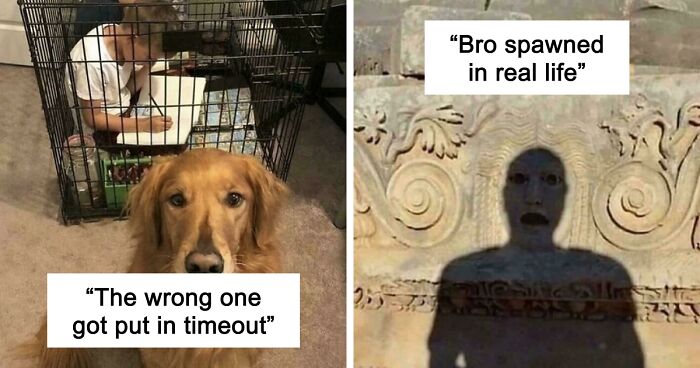 67 Hilarious Images That Are Somehow Both Blessed And Cursed