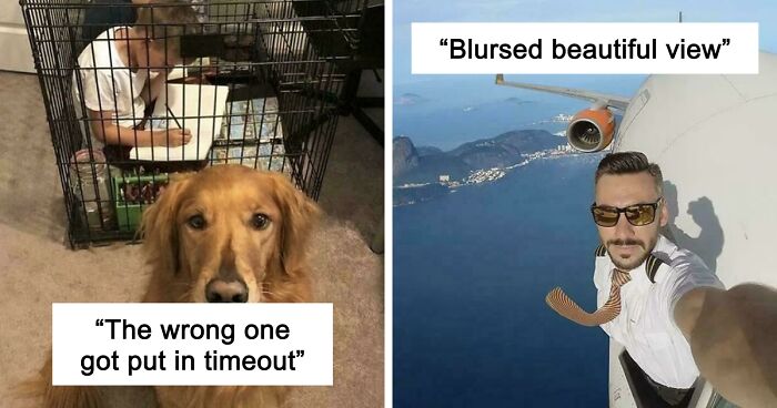 67 Hilarious Images That Are Somehow Both Blessed And Cursed