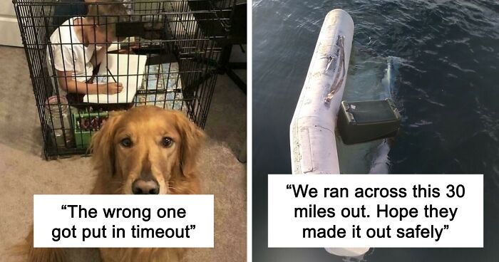 67 Hilarious Images That Are Somehow Both Blessed And Cursed