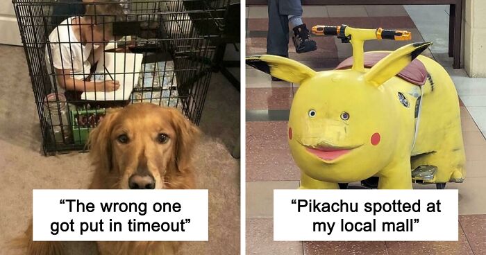 67 Hilarious Images That Are Somehow Both Blessed And Cursed