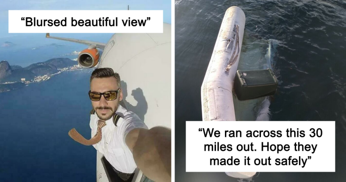 67 Hilarious Images That Are Somehow Both Blessed And Cursed