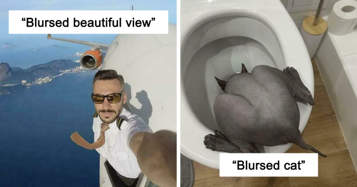 67 Hilarious Images That Are Somehow Both Blessed And Cursed