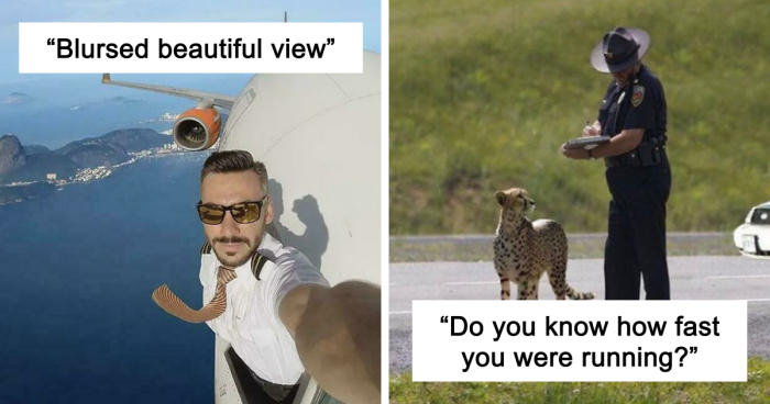 67 Hilarious Images That Are Somehow Both Blessed And Cursed