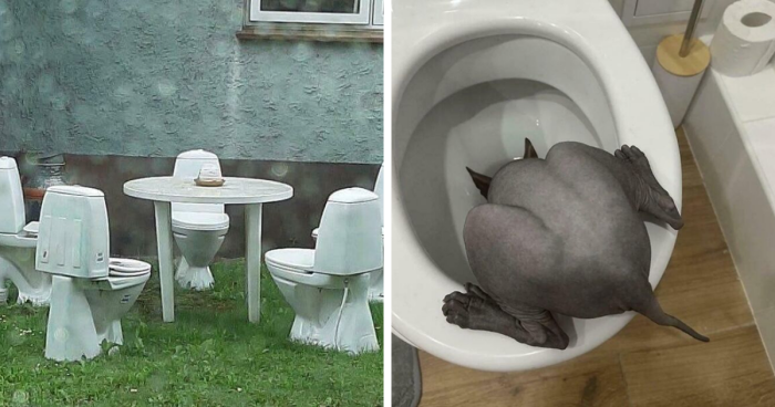 67 Hilarious Images That Are Somehow Both Blessed And Cursed