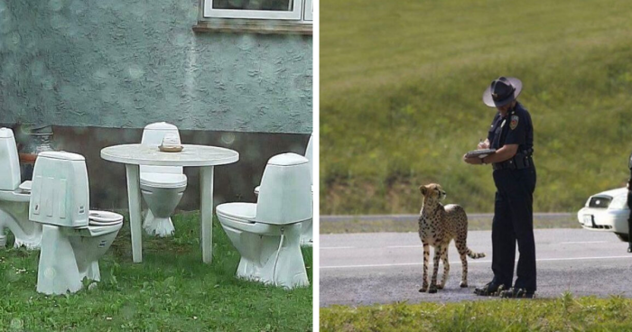 67 Hilarious Images That Are Somehow Both Blessed And Cursed