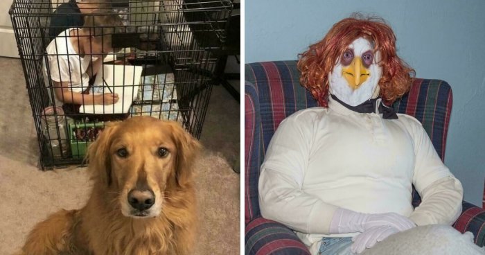 67 Hilarious Images That Are Somehow Both Blessed And Cursed