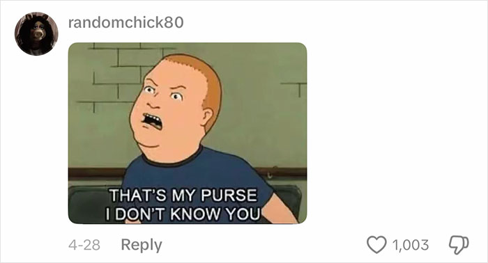 A meme of Bobby Hill from King of the Hill, saying That's my purse! I don't know you!, relevant to the Louis Vuitton bag.