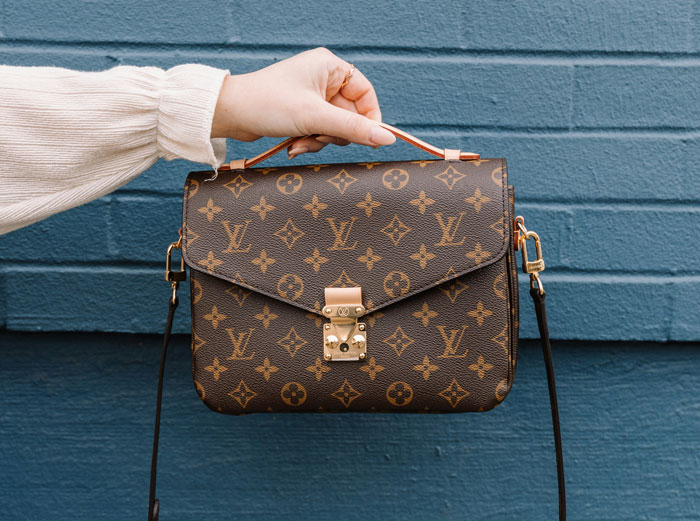 Close-up of a person holding a Louis Vuitton bag against a blue background.