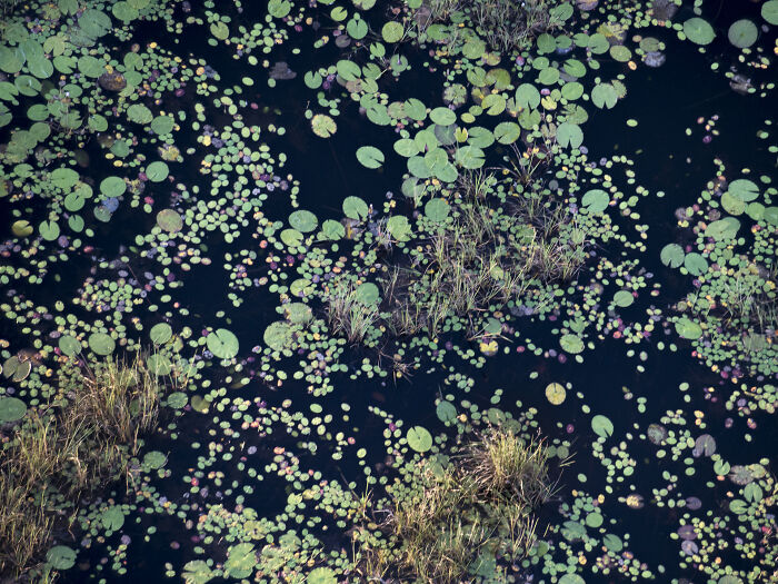 This Photographer Captures The Hidden Patterns That Make Nature Look Like Art (20 Images)