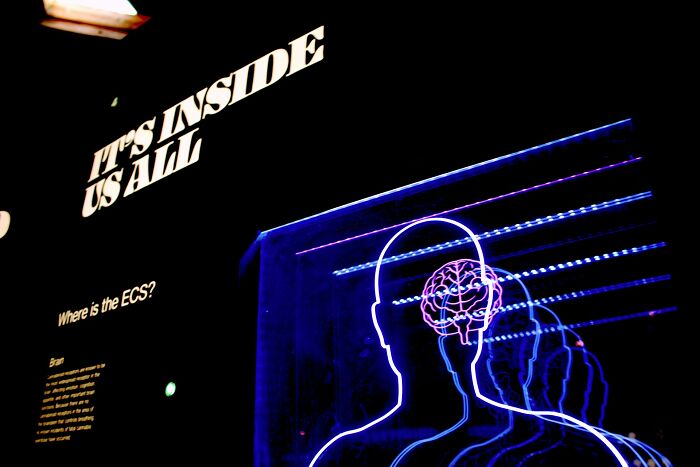 Neon brain outline with human body facts exhibit lighting